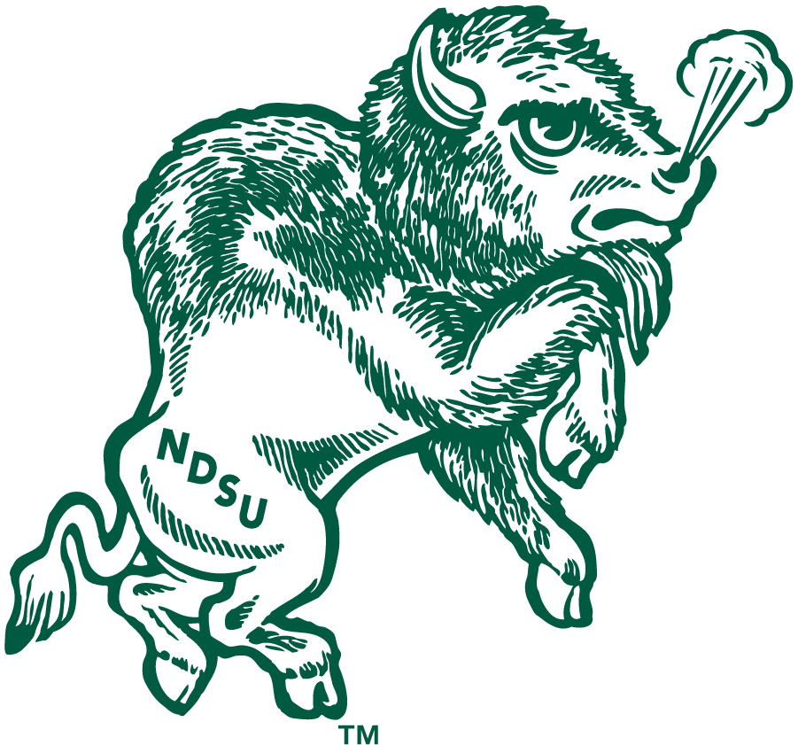 North Dakota State Bison 1972-1999 Primary Logo diy iron on heat transfer